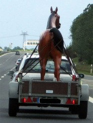 pferdetransport_2.jpg