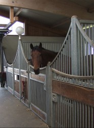 stallgasse.jpg